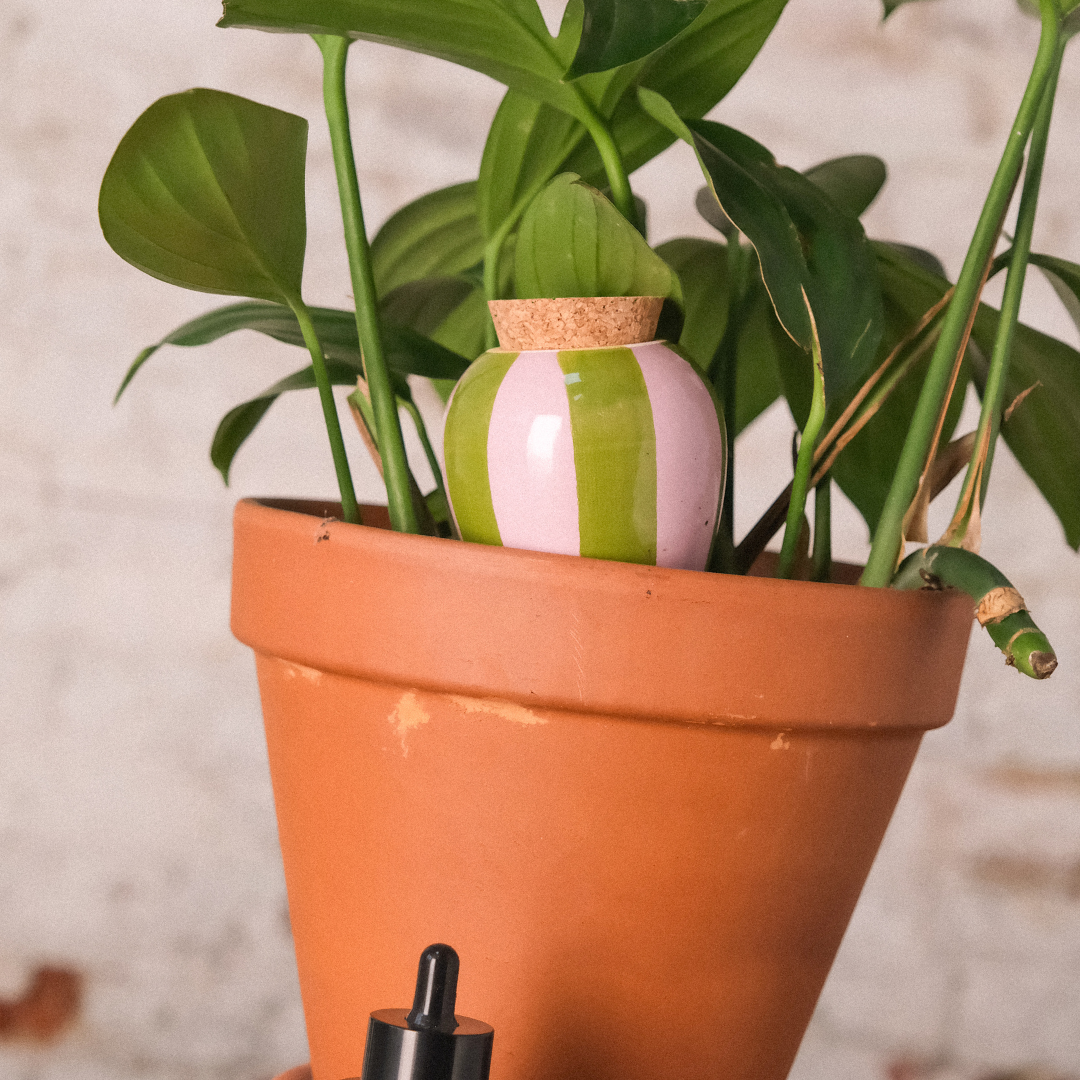 LIVIA | Olla Wasserspender