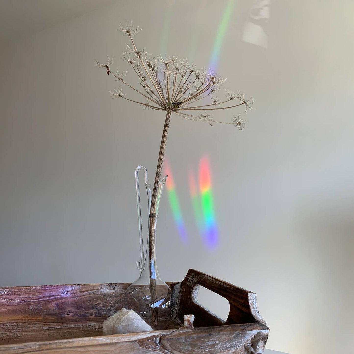8 MINI WILDBLUMEN STICKER | Suncatcher Sticker für Regenbögen