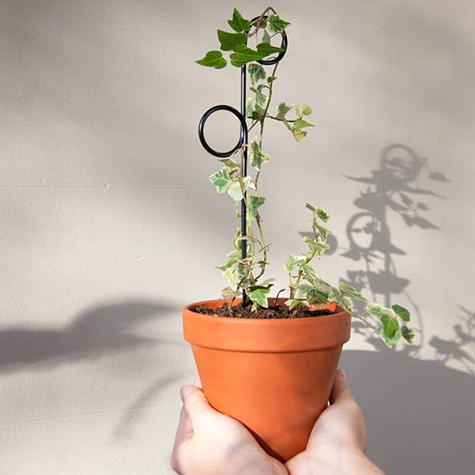 PERCH | Piquet de treillis noir en métal inoxydable, hauteur 34 cm