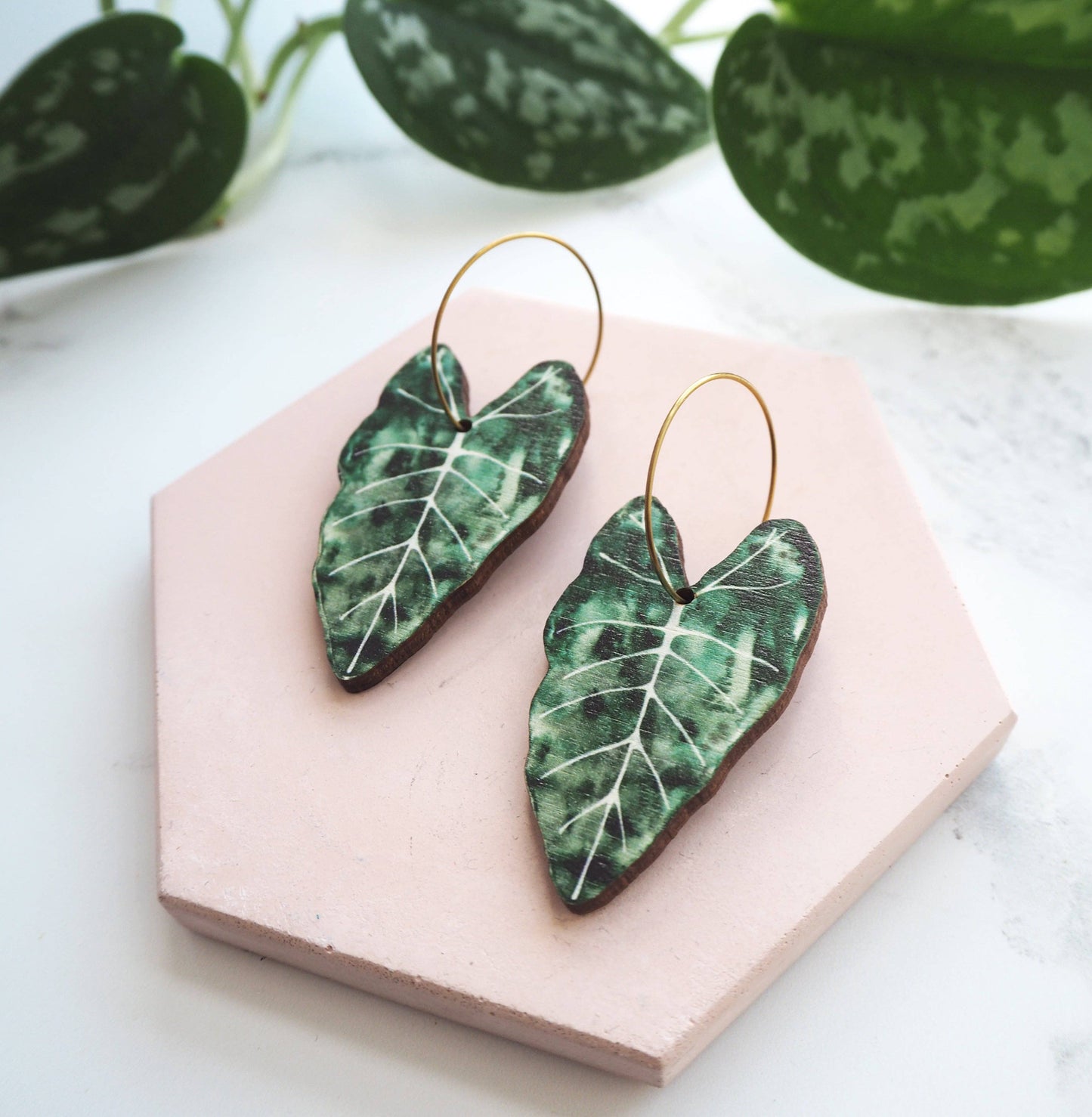ALOCASIA CREOLEN GREEN | GOLD