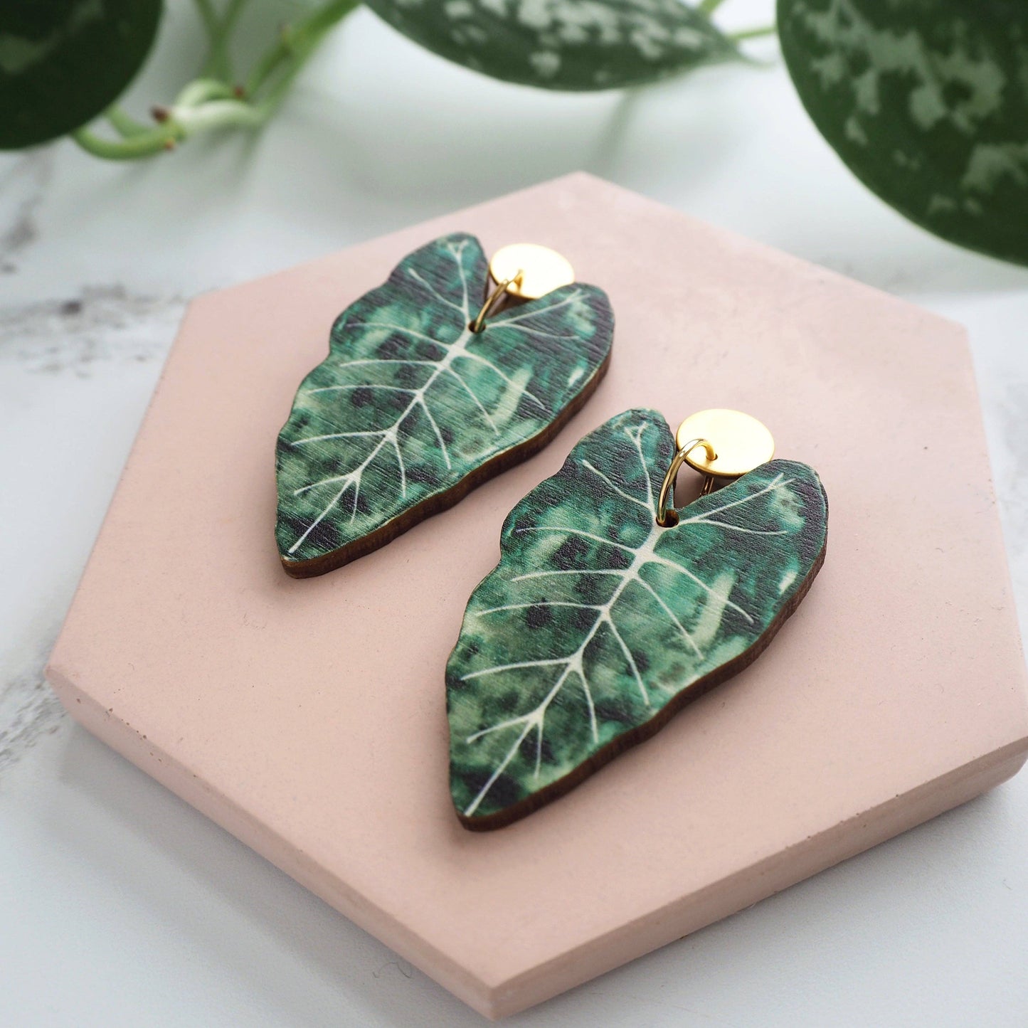 ALOCASIA OHRRINGE GREEN | GOLD