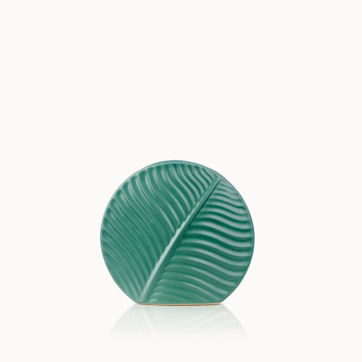 NATURE DES FEUILLES | VASE