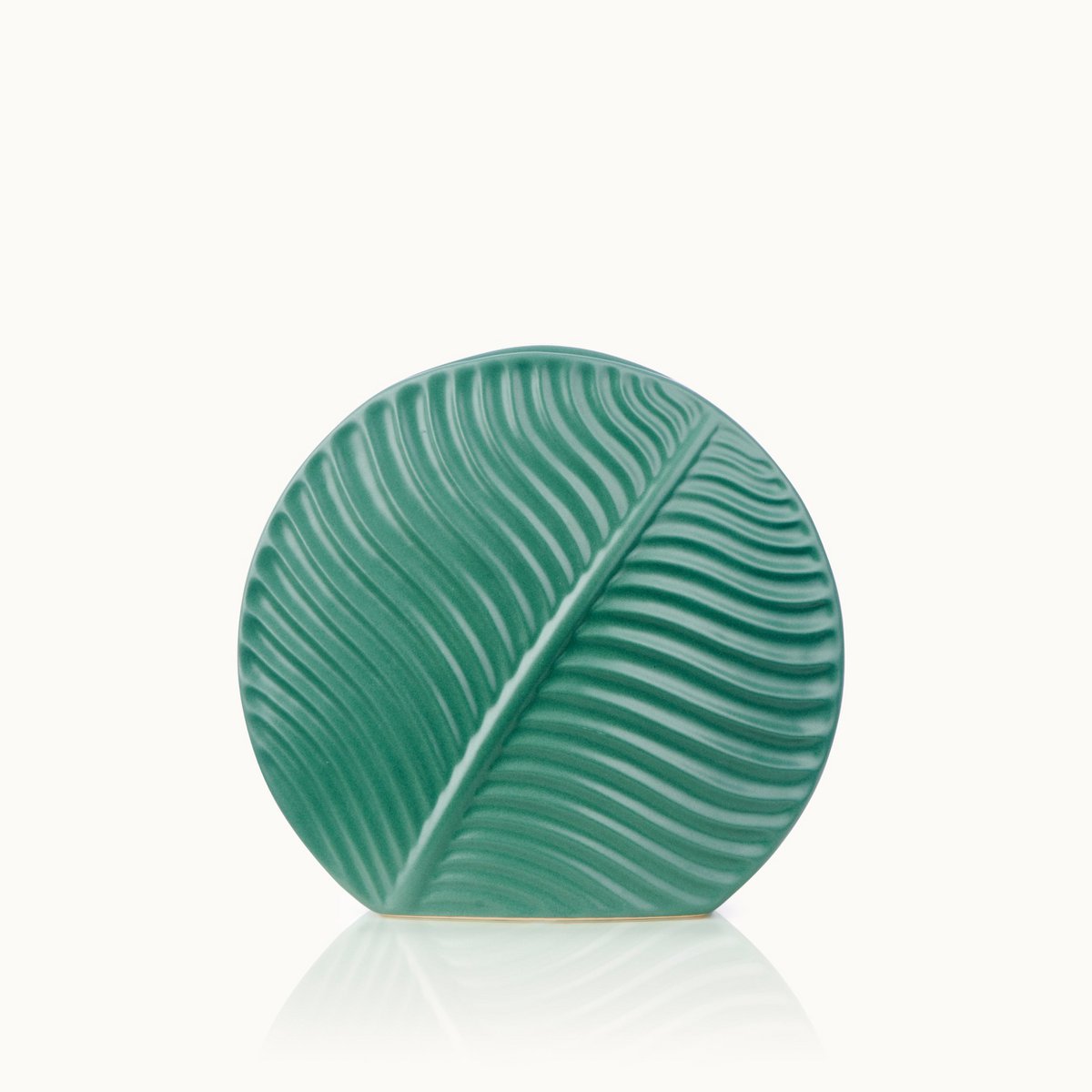 NATURE DES FEUILLES | VASE