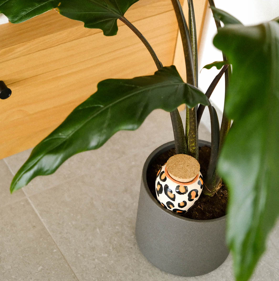 LEOPARD | Olla Wasserspender