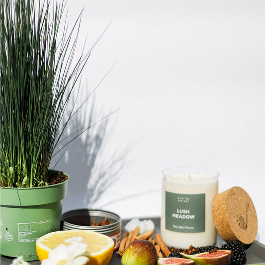 LUSH MEADOW | Bougie parfumée