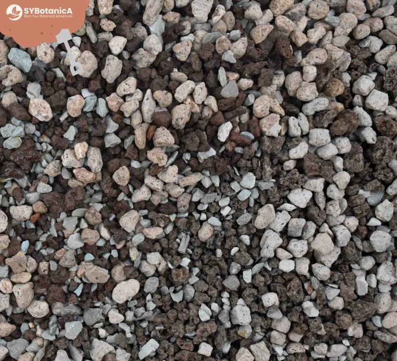 BASIS MINERAL MIX 3L | Mineralisches Substrat für Zimmerpflanzen (ungedüngt)