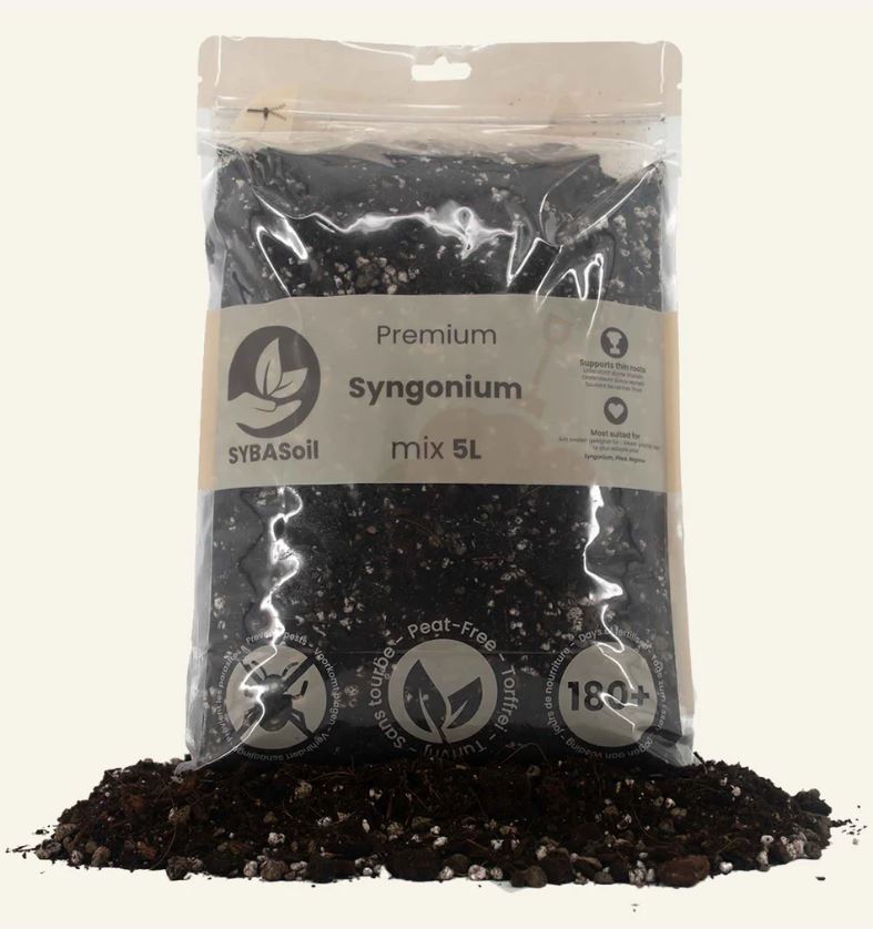 SYNGONIUM MIX 5L | Substrat für Syngonien