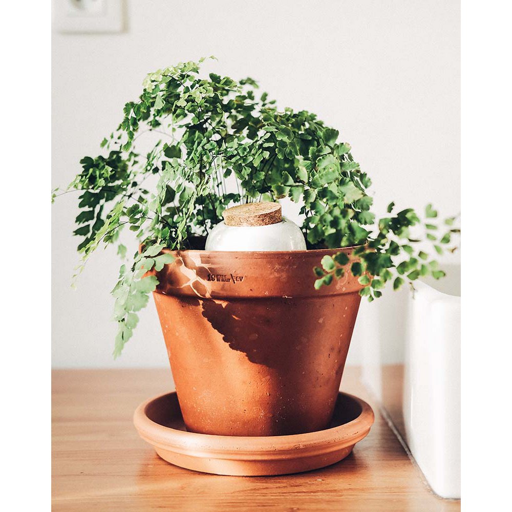 KORALLENROSA | Olla Wasserspender