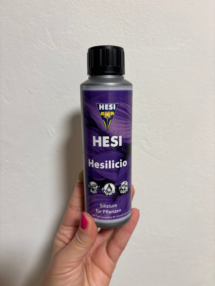 Frisch im Shop: Neues von Hesi