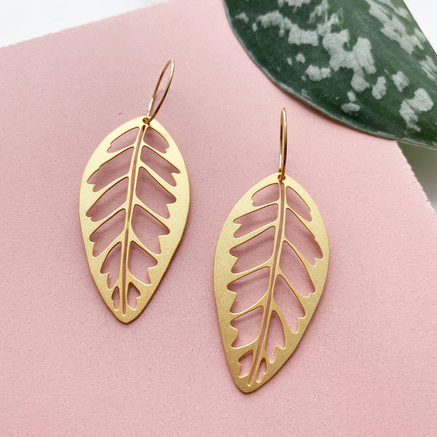 CALATHEA