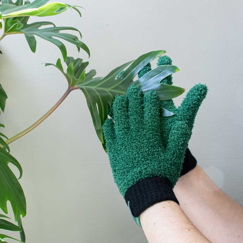 LEAF LOVE | Dusting gloves for plants