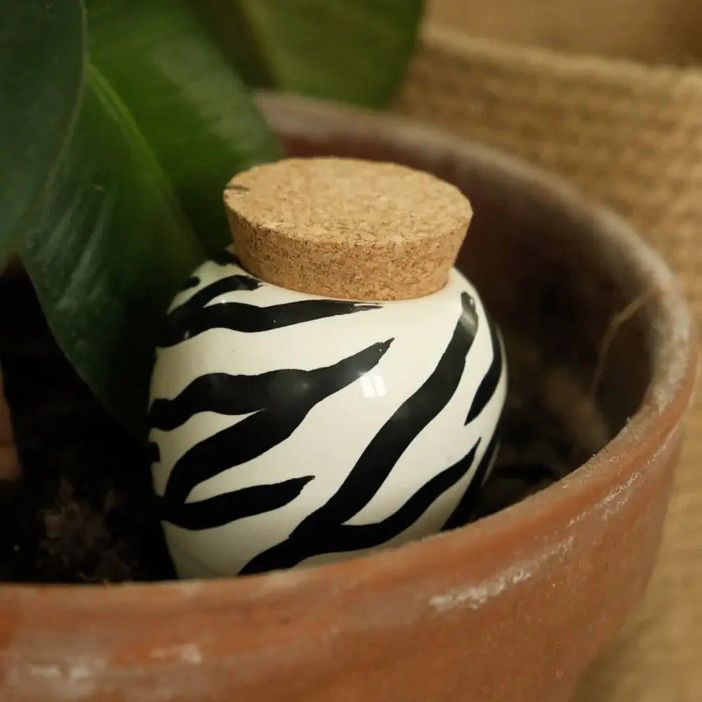 ZEBRA | Olla Wasserspender
