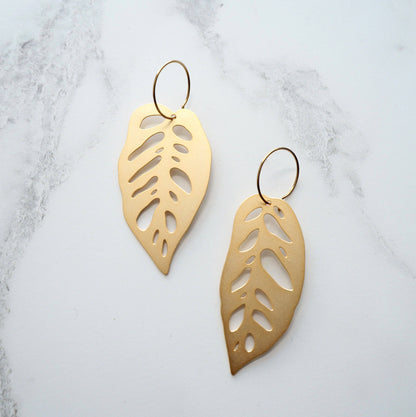 MONSTERA OBLIQUA CREOLEN | GOLD