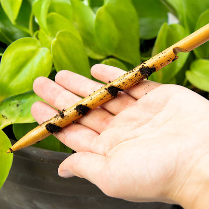 SOIL TESTER | Soil moisture control