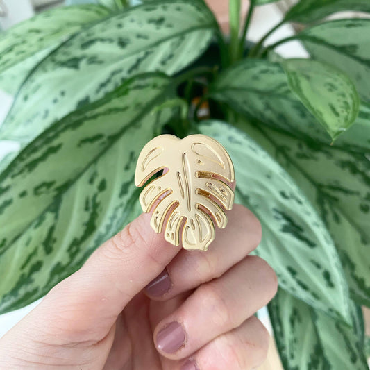 MONSTERA | Pflanzen Pin