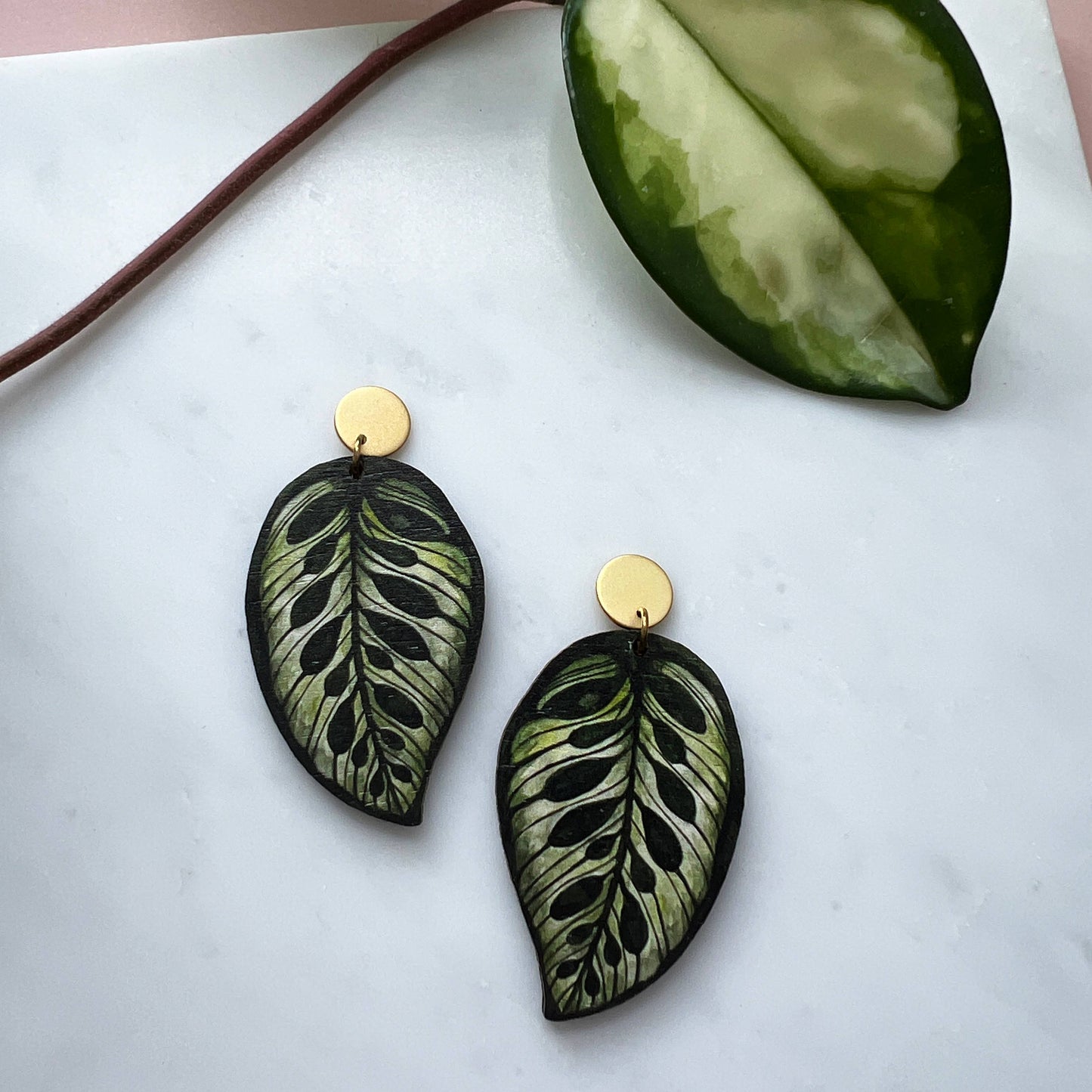 CALATHEA MAKOYANA OHRRINGE GREEN | GOLD