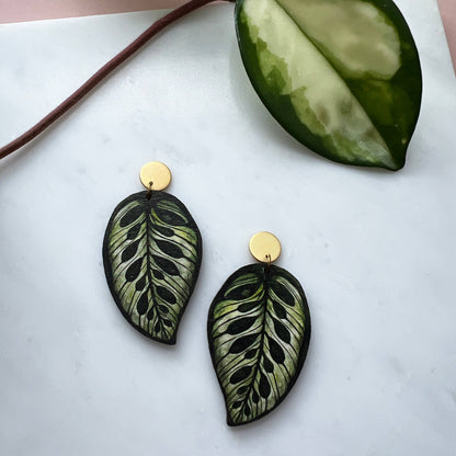 CALATHEA MAKOYANA OHRRINGE GREEN | GOLD