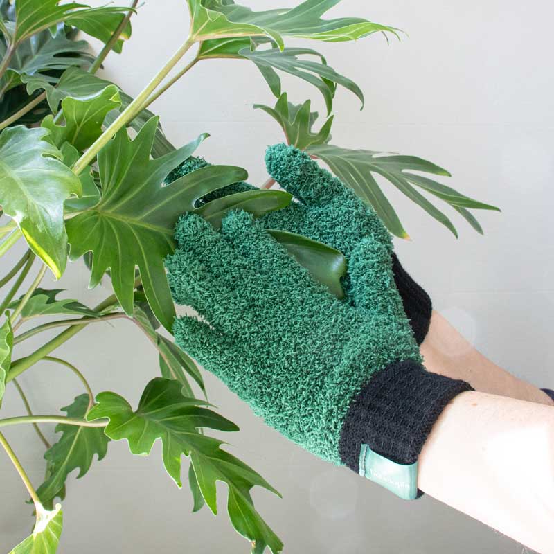 LEAF LOVE | Dusting gloves for plants