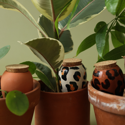 WILDCAT TRIO | 3er Set Mini Olla Wasserspender