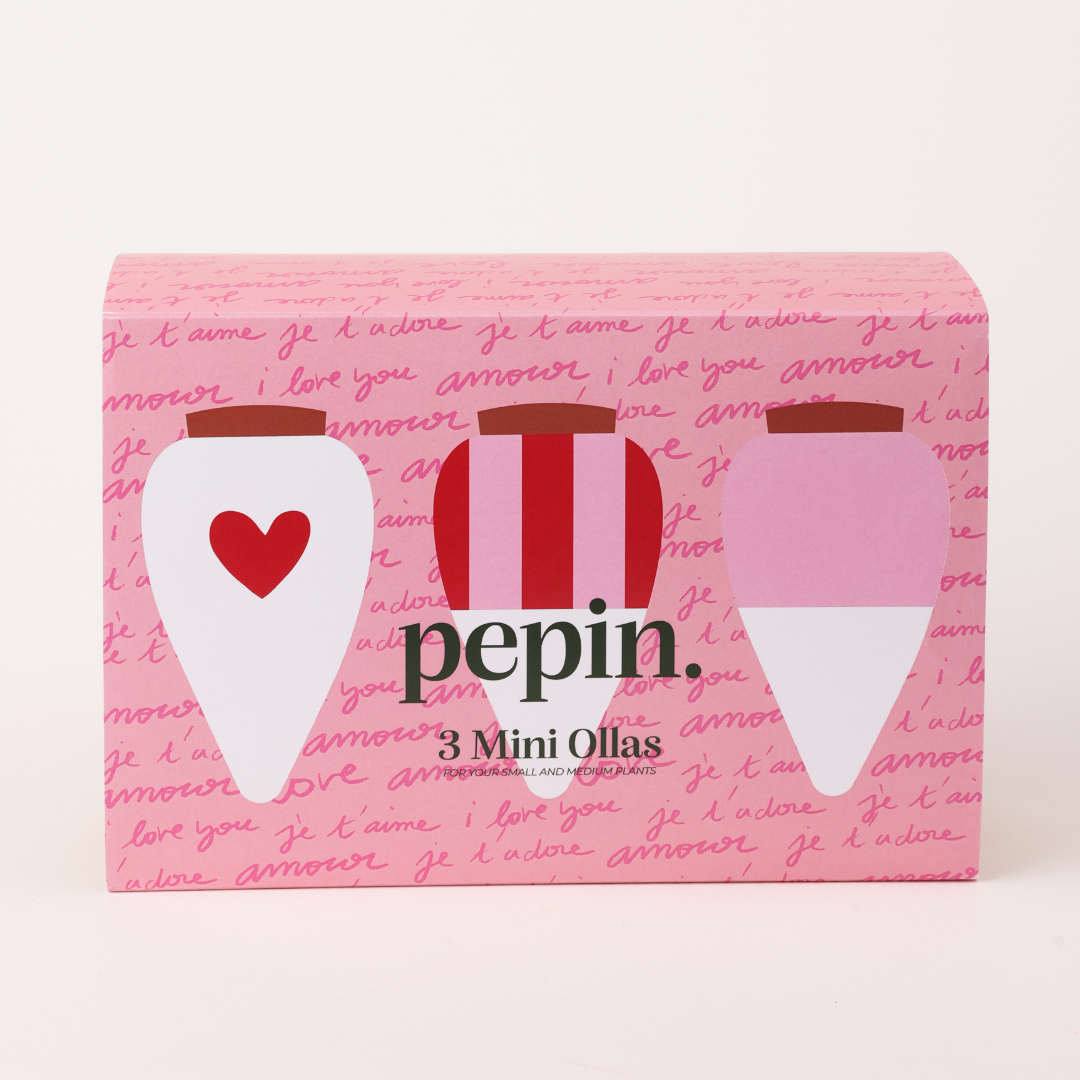LOVELY TRIO | Ensemble de 3 mini distributeurs d'eau Olla