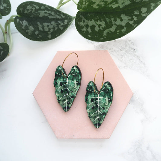 ALOCASIA CREOLEN GREEN | GOLD