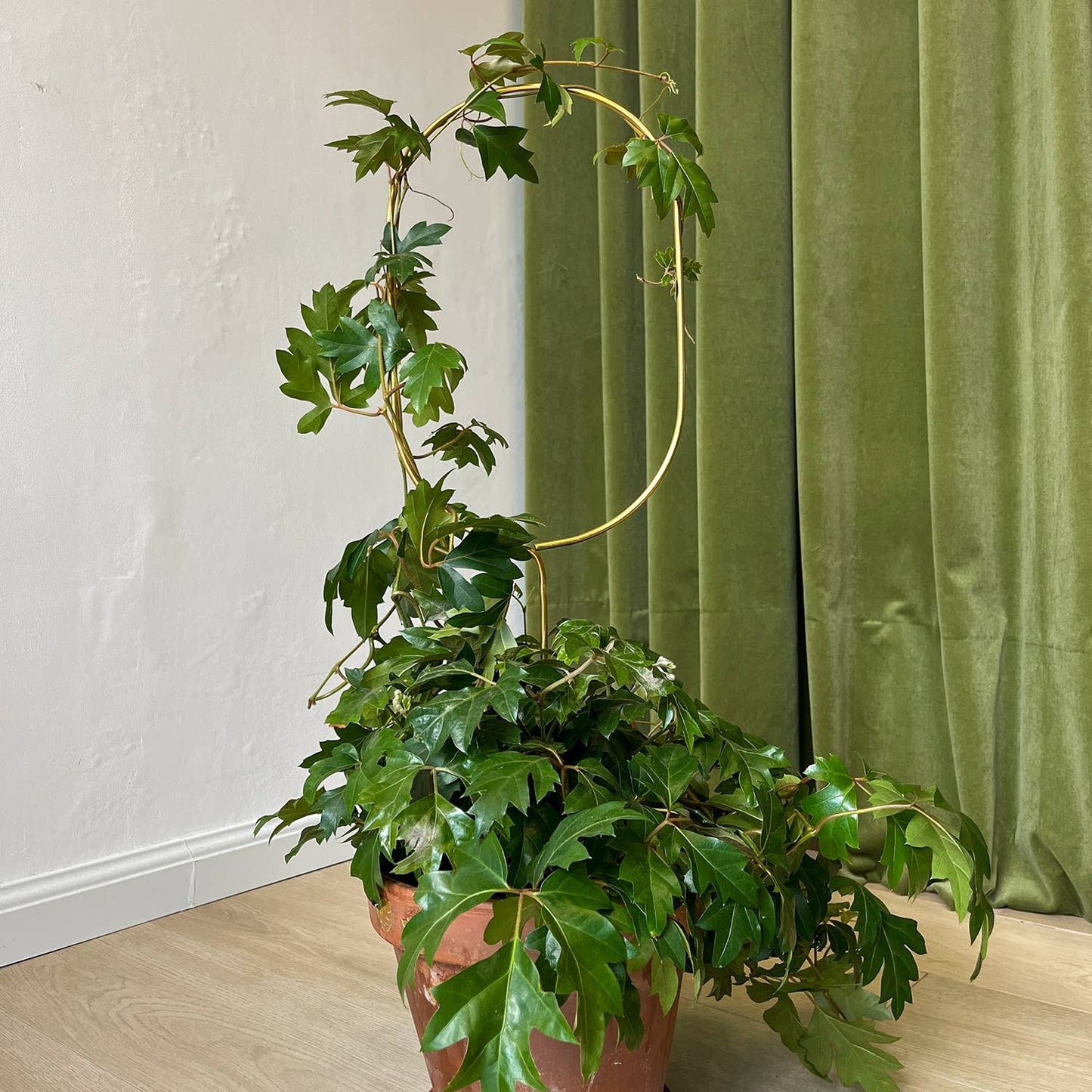 ARCH | Golden Trellis XL
