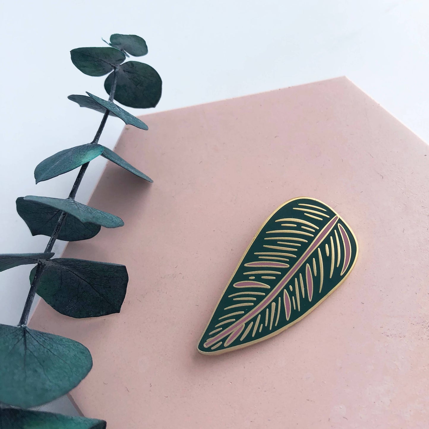 CALATHEA ORNATA | Pflanzen Pin