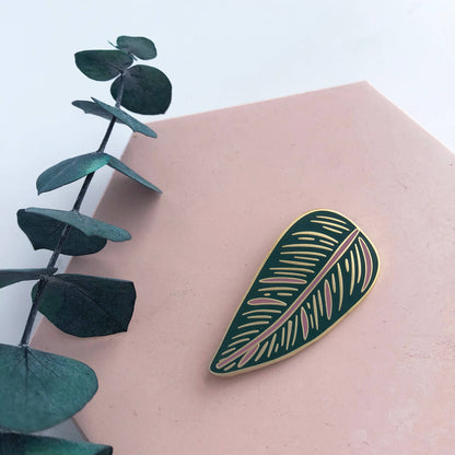 CALATHEA ORNATA | Pflanzen Pin