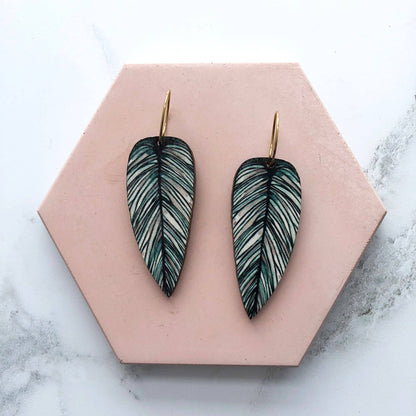 CALATHEA WHITESTAR CREOLEN | GOLD