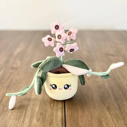 HOYA CARNOSA KRIMSON QUEEN | Pflanzenstofftier