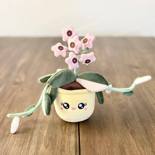 HOYA CARNOSA KRIMSON REINE | Jouet végétal en peluche