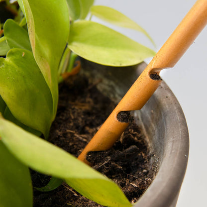 SOIL TESTER | Soil moisture control