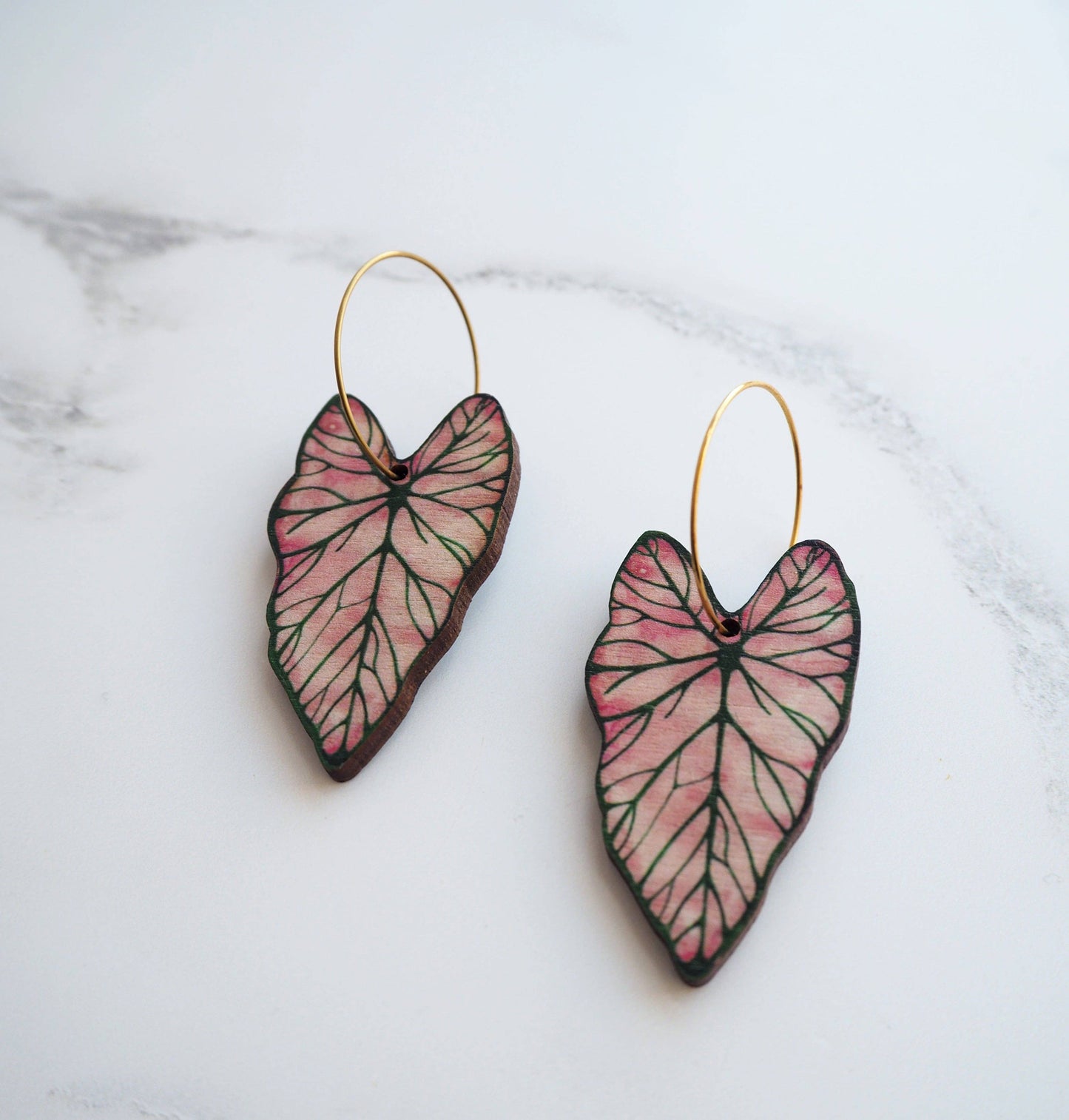 CALADIUM CREOLEN | GOLD