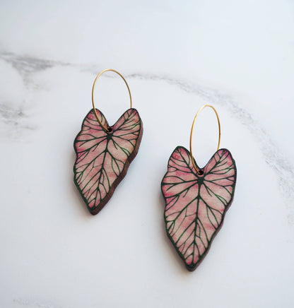 CALADIUM CREOLEN | GOLD