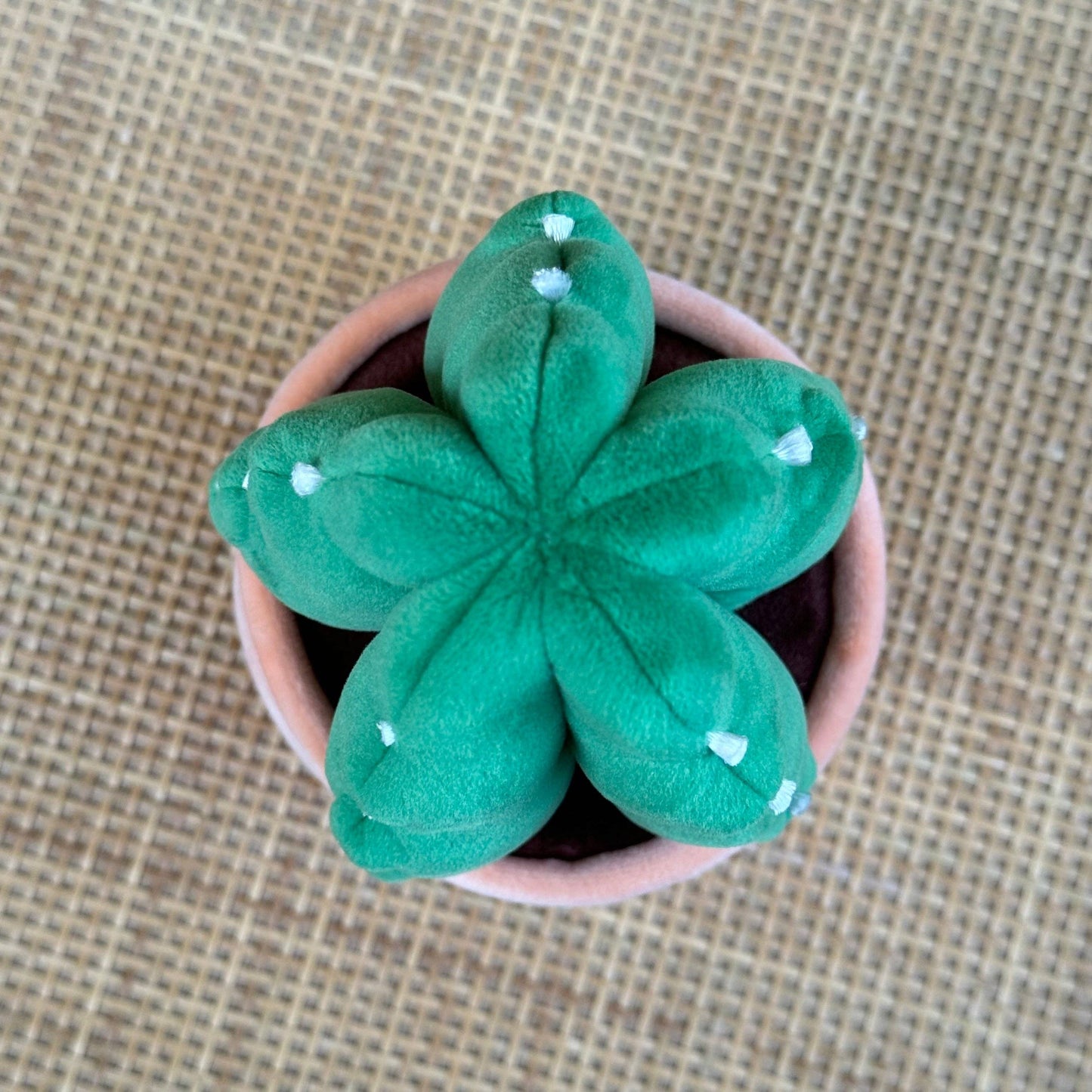 Cuddly Cactus | Plant Stuffed Animal