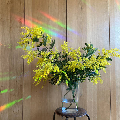 8 MINI WILDBLUMEN STICKER | Suncatcher Sticker für Regenbögen