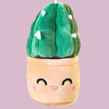 Cactus câlin | Porte-clés plante en tissu
