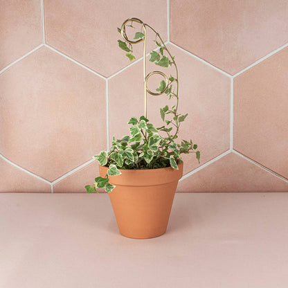 PERCH | Golden trellis