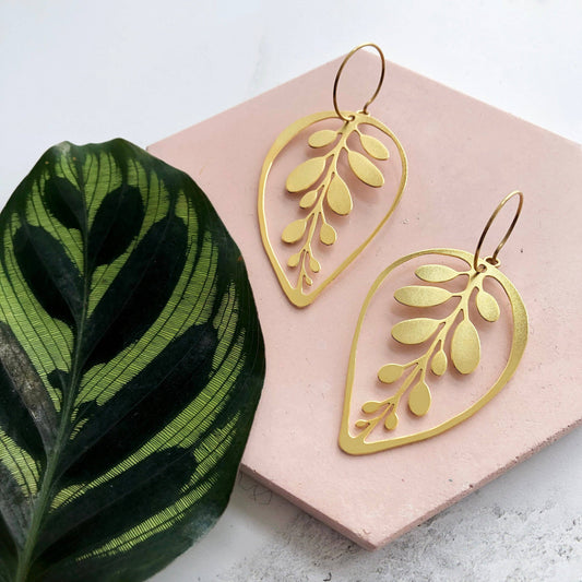 CALATHEA MAKOYANA CREOLEN | GOLD