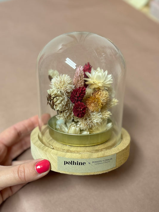 TROCKENBLUMEN MEDIUM KUPPEL | Gold Edition: Beige & violett