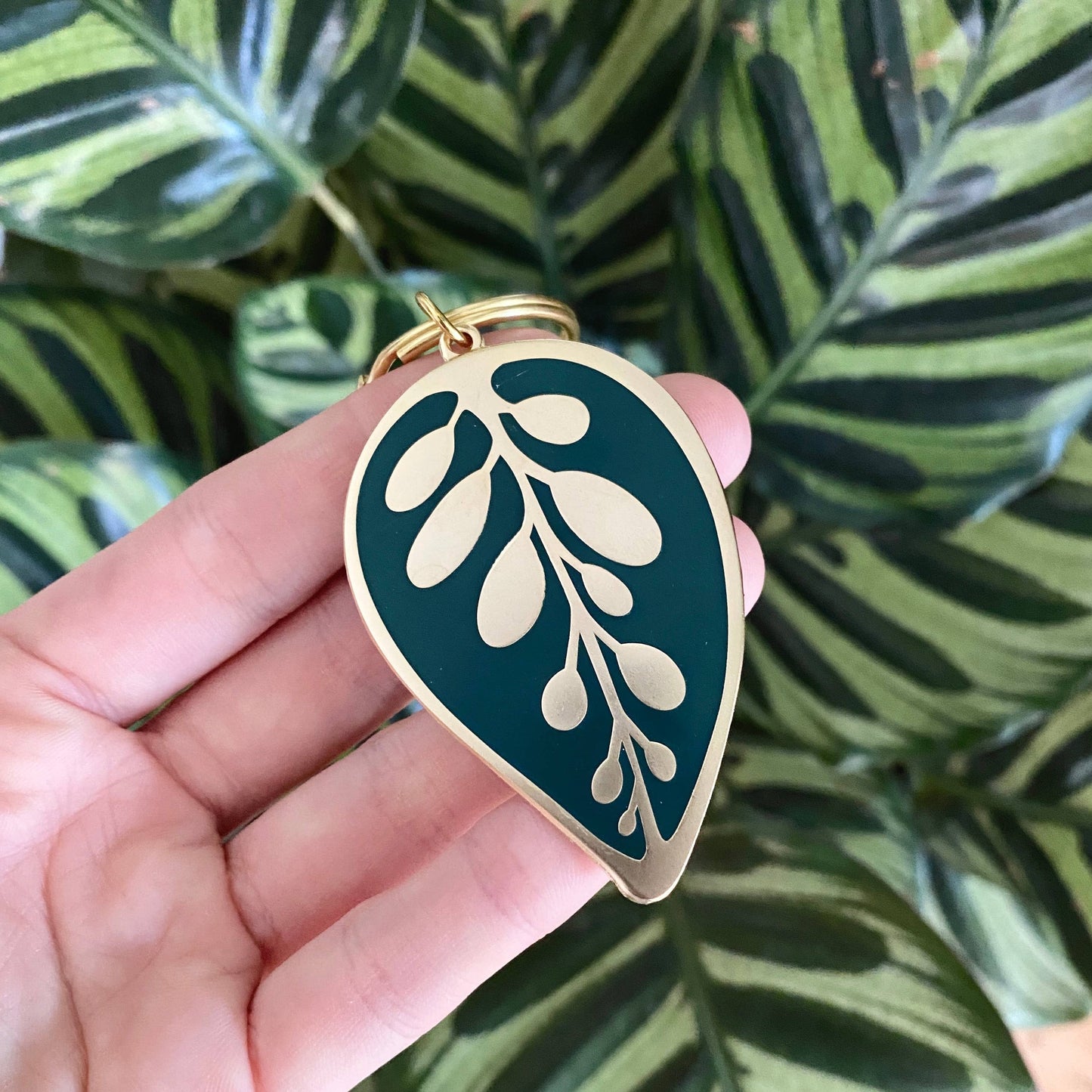 CALATHEA MAKOYANA | Porte-clés