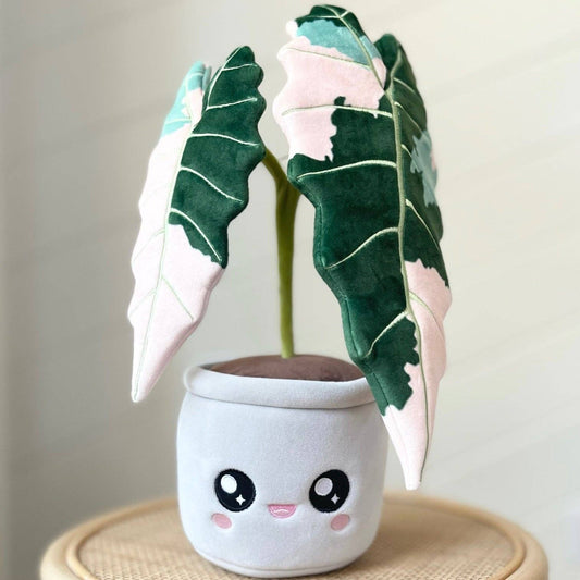 ALOCASIA AMAZONICA | Pflanzenstofftier