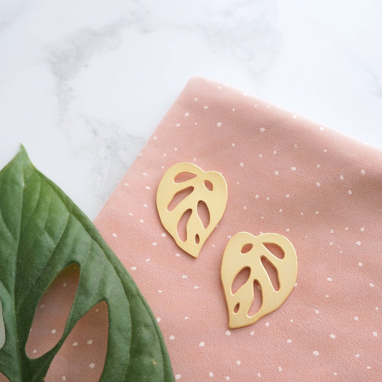 MONSTERA OBLIQUA OHRSTECKER | GOLD