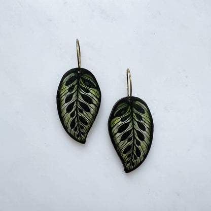CALATHEA MAKOYANA CREOLEN GREEN | GOLD