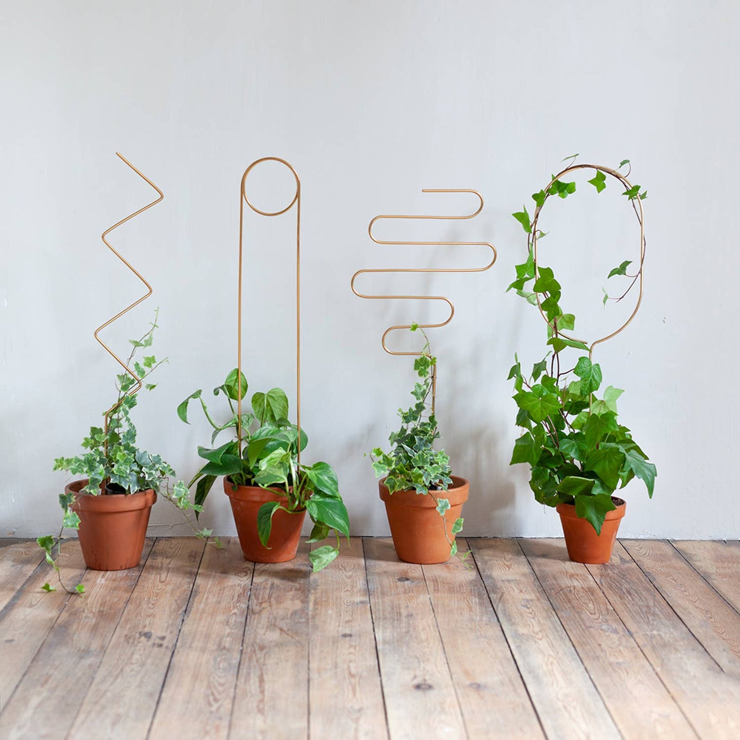 ARCH | Golden Trellis XL