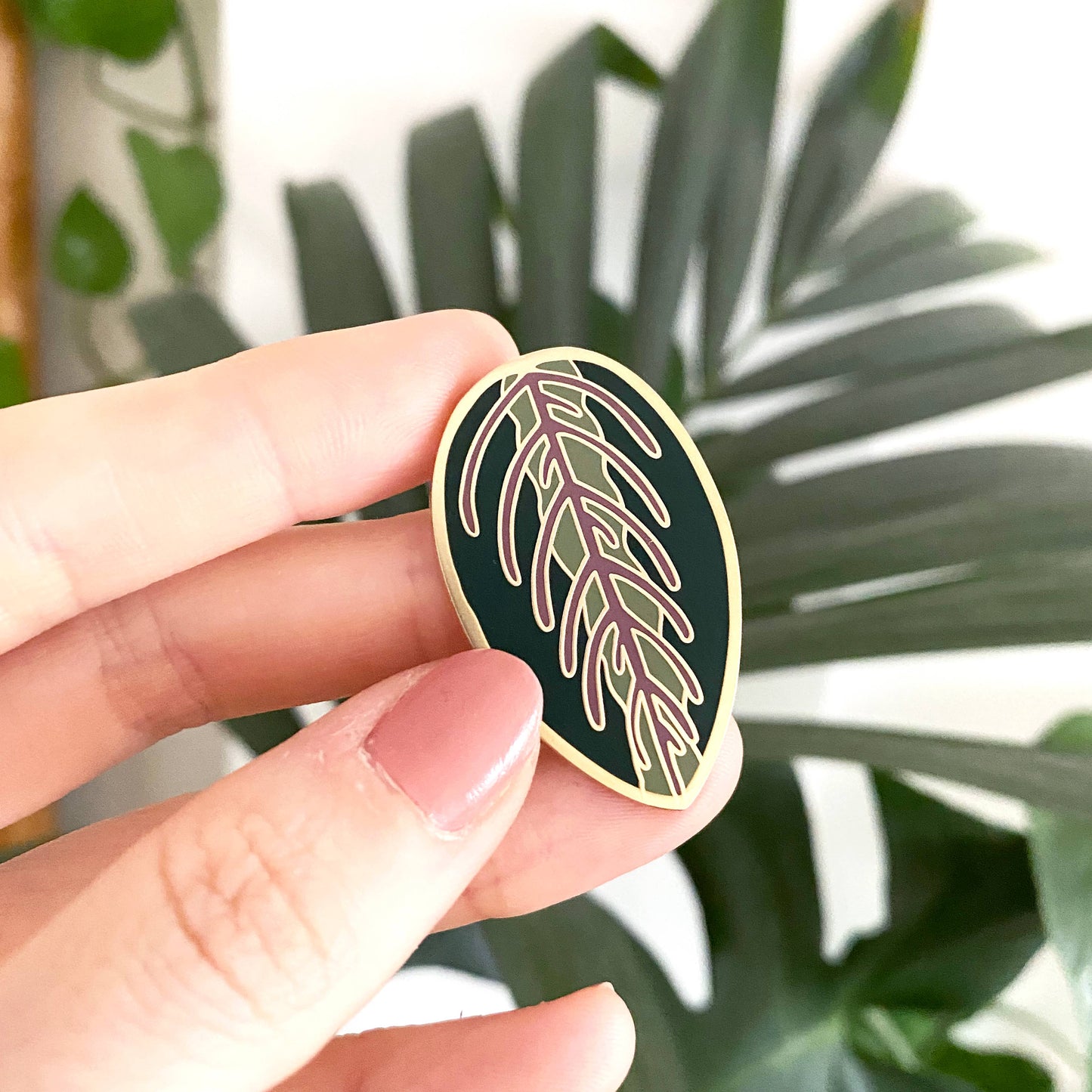 MARANTA | Plant Pin