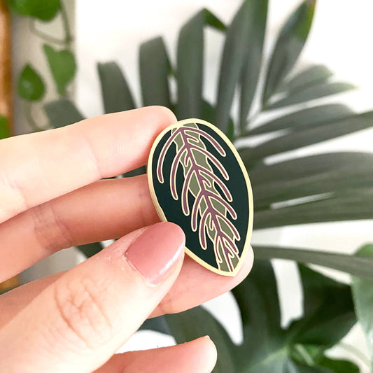 MARANTA | Pflanzen Pin
