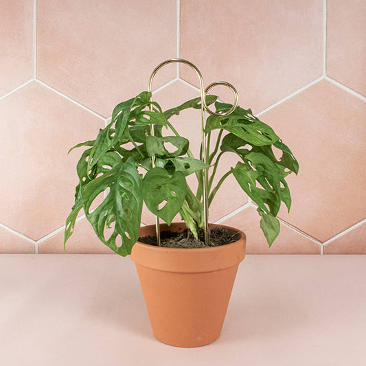 BUMP | Support à plantes doré en métal inoxydable, hauteur 30 cm