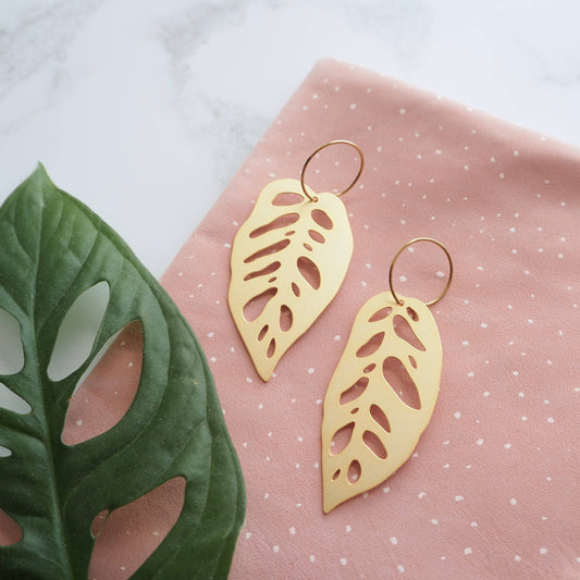 MONSTERA OBLIQUA CREOLEN | GOLD