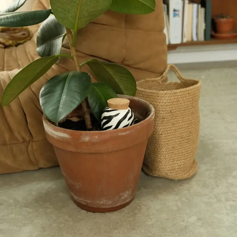 ZEBRA | Olla Wasserspender